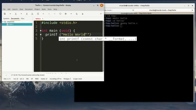 Hello World With C Code compiled with GCC on Linux