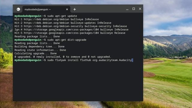 ChromeOS | Linux Development Environment | Install Audacity onto a Chromebook