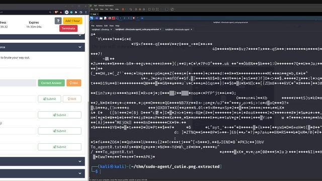 agent sudo tryhackme walkthrough • free cyber ctf training for ...