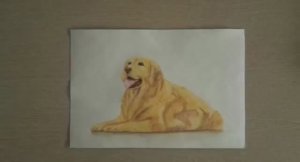 Как нарисовать собаку акварелью.