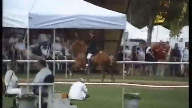 Ingimar frá Mjölkurpósti, WC03T1 смотреть онлайн