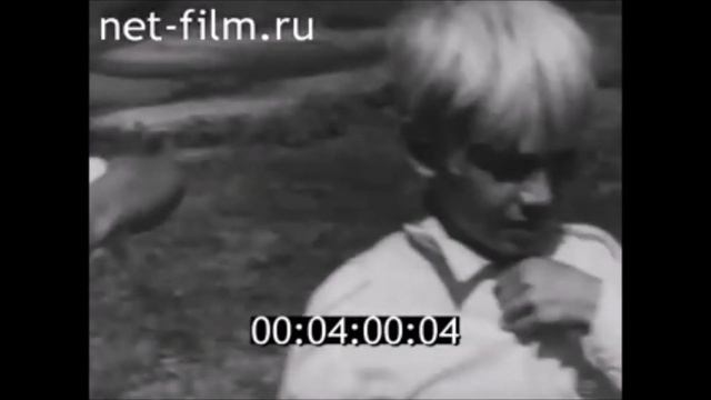 Осетровые заводы СССР 1960-1984 г смотреть онлайн