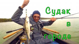 СУДАК на МАНДУЛЫ и ЩУКА в лопухах. Рыбалка на ДАЧЕ.