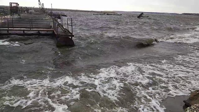 Штормяга. Рабочий день рыбовода 07.04.2020 смотреть онлайн