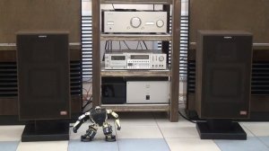 SONY APM-33W ¥110,000(2台、1982年発売). 39Hz-20000Hz.  91dB/W/m.