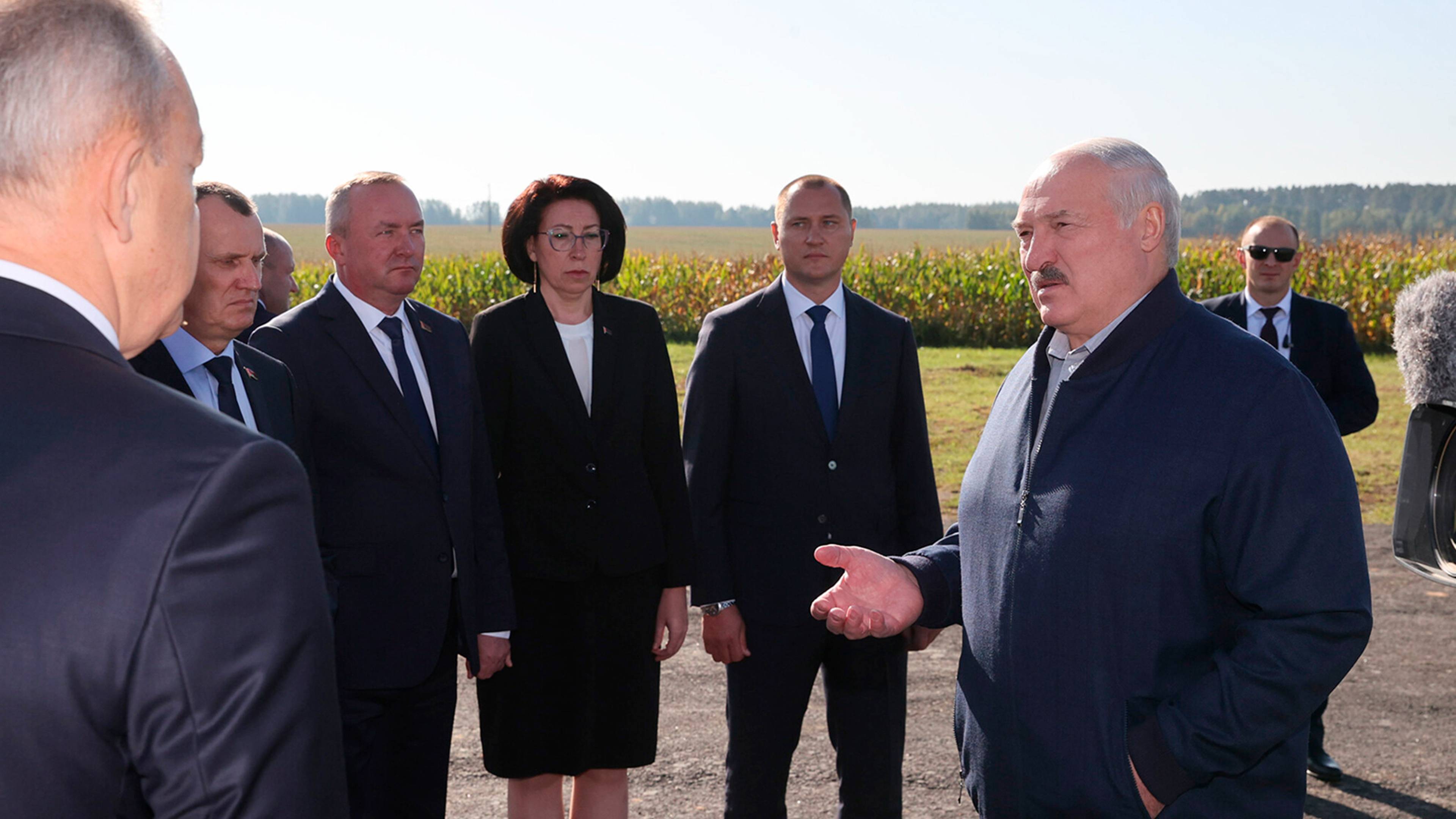 Лукашенко посетил экспериментальные поля с кукурузой в Могилевской области