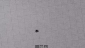 Five Seasons _ The Strongest Battlegrounds.mp4