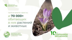 10 лет сохраняем бесценное