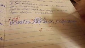 смотрю тетради у учеников |  играю в школу проверяю игрушечных учеников