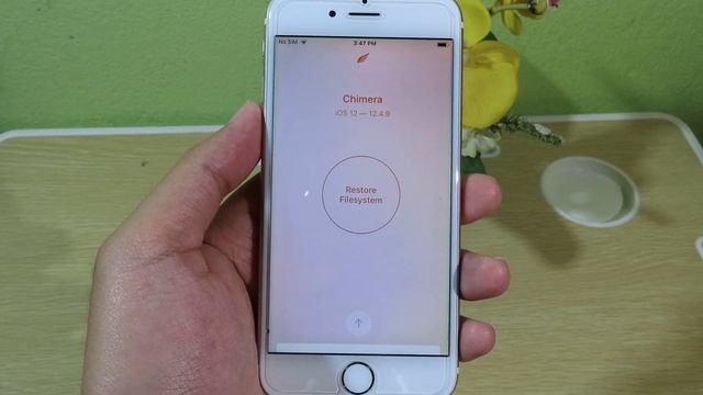How to Unjailbreak iOS 12.4.9 & Fix Error Chimera Jailbreak