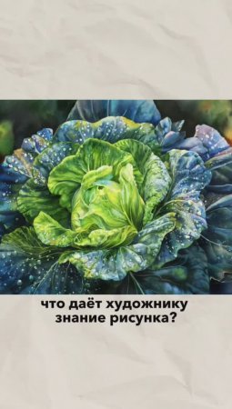 Рисунок под акварель — основа, которая помогает достичь гармонии цвета и формы #акварель #обучение