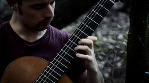 BEYOND DESOLATION - The Last Of Us 2 - Guitar Cover (part II) composed by Gustavo Santaolalla
