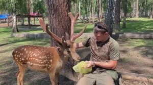 ПВД на Зооферму Бархатные рога и озеро Иткуль 2024. Средний Урал.