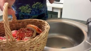 Мухомор/ Настойка