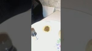 Шорин Максим Опыт с йодом и картофелем