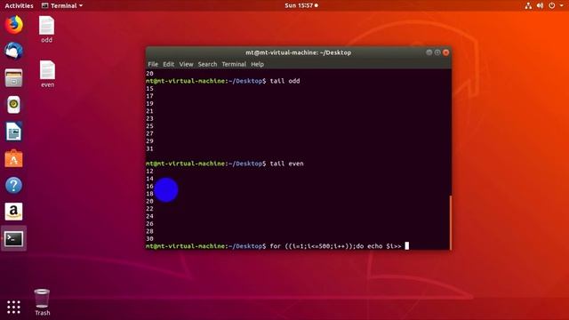How to Use Head and Tail Command in Linux Terminal | Basic Linux Commands | Head and Tail Command