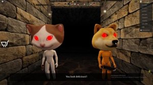 roblox: My House