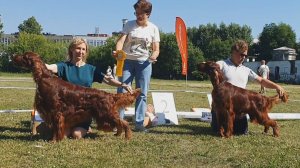 29.06.2024, СПб. Клуб "ПЕТРОПОЛЬ". Выставка CAC 7 группы FCI