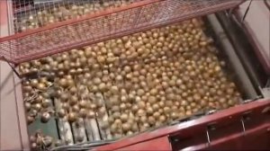 Обезка ботвы  пера лука роликовая Николсон / Nicholson