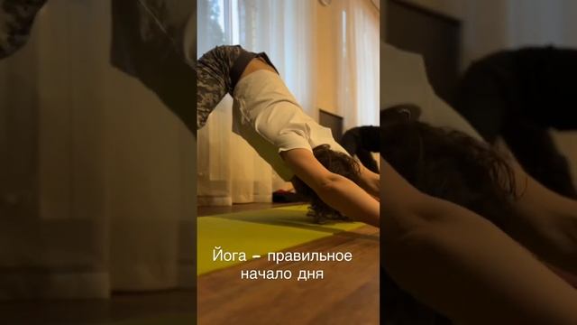 #йогакаждыйдень #yoga