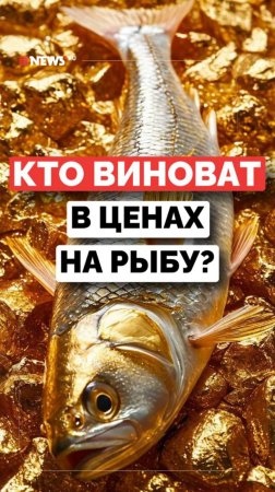 Рыба на вес золота: кто виноват в том, что рыба стала дорогим деликатесом для россиян?