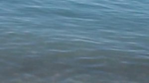 DSCN1224МОРЕ НОВОМИХАЙЛОВСКИЙ ТУРБАЗА ПРИМОРСКАЯ