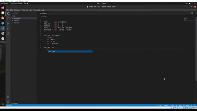 Create your own Operating system from scratch | Part 1 | Environment and assembly code