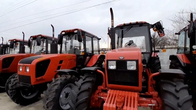 Цены тракторов Беларус февраль 2024 года. Обзор Беларус-82.3
