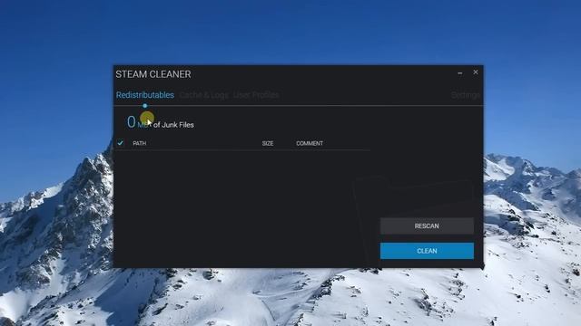 Steam Cleaner