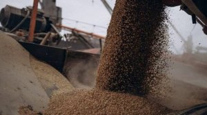 Россия включила на полную мощность свое самое тихое оружие