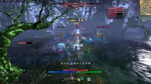 ESO: WB Oakenclaw (Дубовый Коготь) - solo