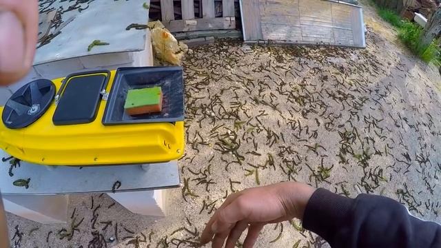а нужен ли разбрасыватель? и как работает завоз прикормки