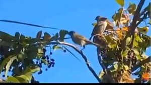 Дочитывая август..., Стихи Ариша Сергеева, муз. и исп. #СамуилФрумович