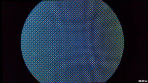 AMOLED Video Under Microscope