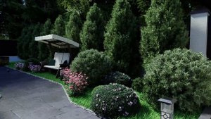 Живое видео 1