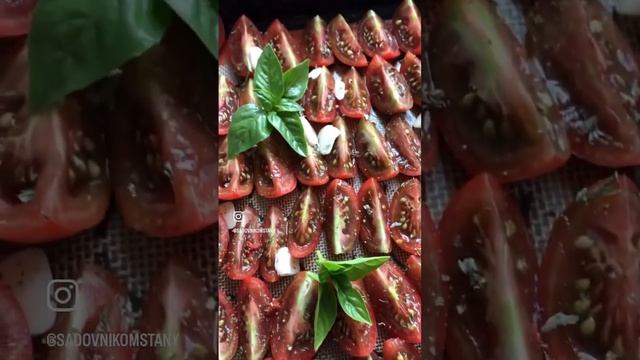 Вяленные томаты РЕЦЕПТ