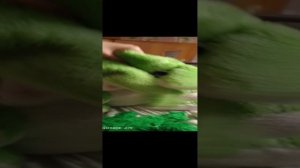 побег от маньяка😱💀☠️