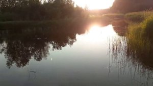 Жить в деревне !