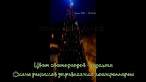 Динамика и Звёздное небо