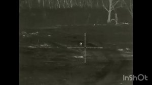 11. Ночная охота на шакала с карабином Kurbatov Arms R-715 .223rem и прицелом Iray Saim SCT 35 v2