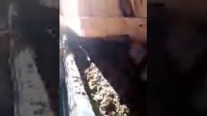 Есть лучше чем вибростанок для АРБОЛИТА