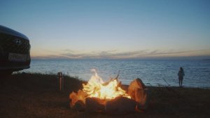 5419256-uhd_3840_2160_25fps