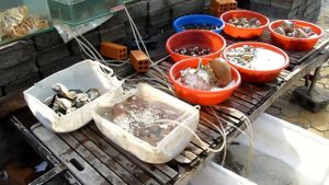 Вьетнам. Рынок морепродуктов.