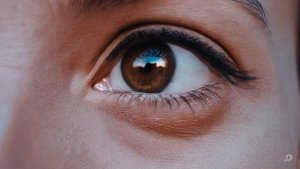OpenAi SORA : Sora Ai Video Generator All Demo Videos - Upscaled 4K