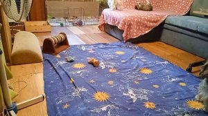 ах эти ноги,,, ноги,,, ноги