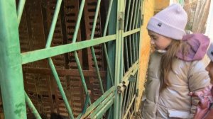 УСТРОИЛИ ДВОРТУР Элина упала и плачет