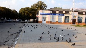 Kanevskaya Каневская