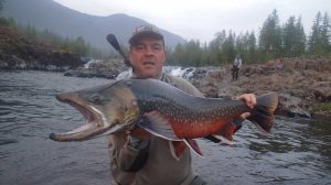 Поймали трофейного арктического гольца на Путоране.