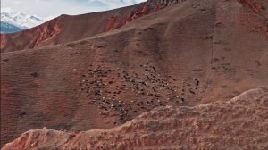 Burak Can Bayar - Sen Olmadan Önce