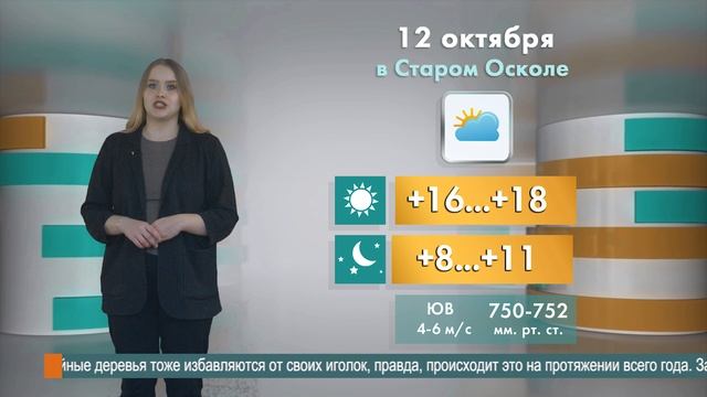 Погода в Старом Осколе на 12 октября